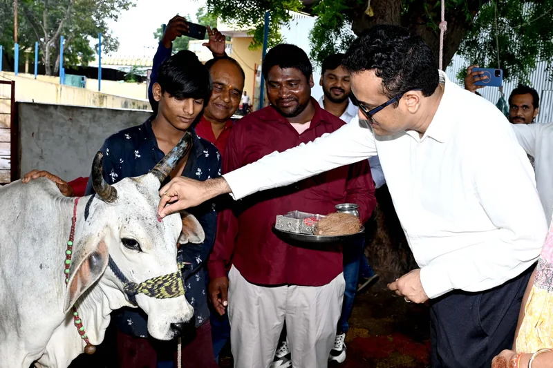 जन सहयोग से बेहतर तरीके से संचालित हो रही श्री कामधेनु गौशाला: कलेक्टर श्री कटेसरिया