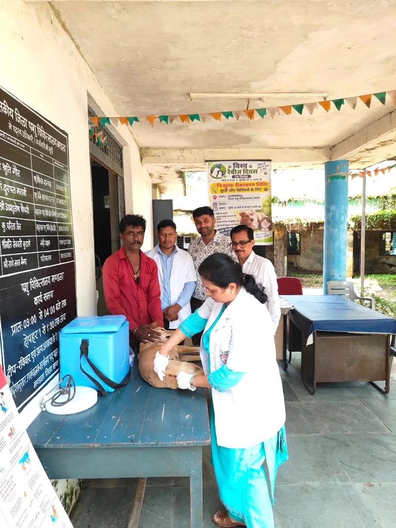 विश्व रेबीज दिवस पर निःशुल्क एंटी-रेबीज टीकाकरण