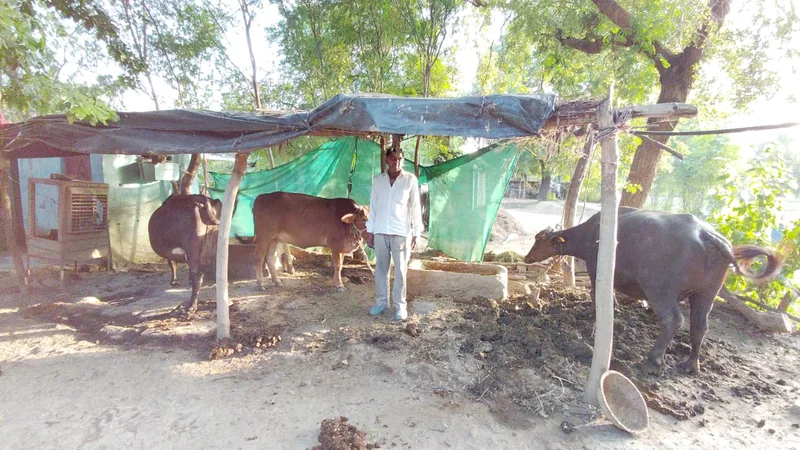 आचार्य विद्यासागर गौसंवर्धन योजना से डोंगरपुरा निवासी अजमेर सिंह को मिली आर्थिक सुरक्षा